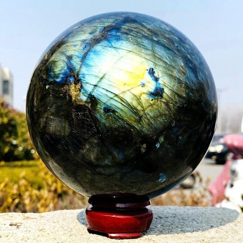 標本　まとめ売り 蝶標本 シジミチョウ22種180頭 大型ドイツ標本箱入り <0729z蝶標本> 蝶